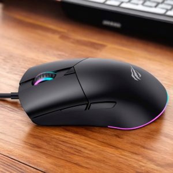 MS1038 GAMING MOUSE HAVIT