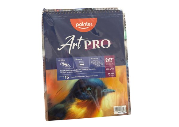 BLOC DE DIBUJO 9X12 X 15 HOJAS