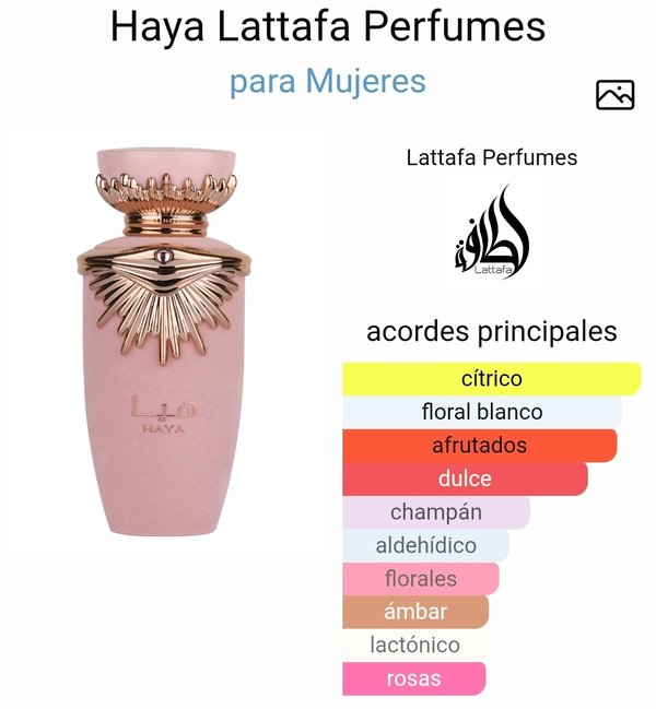 Perfume Haya - Lattafa 100 ml 