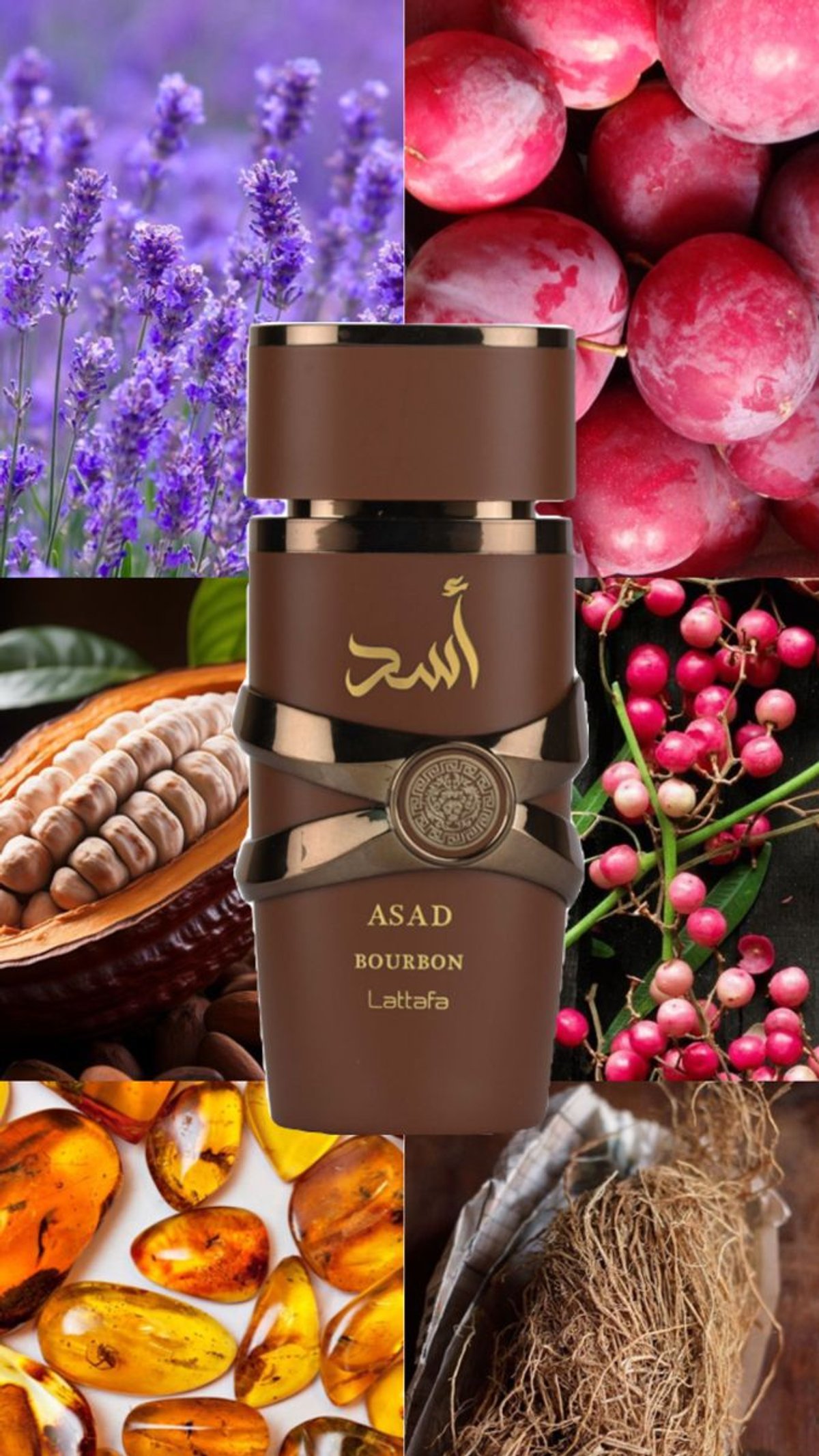 Asad bourbon Lataffa - 2