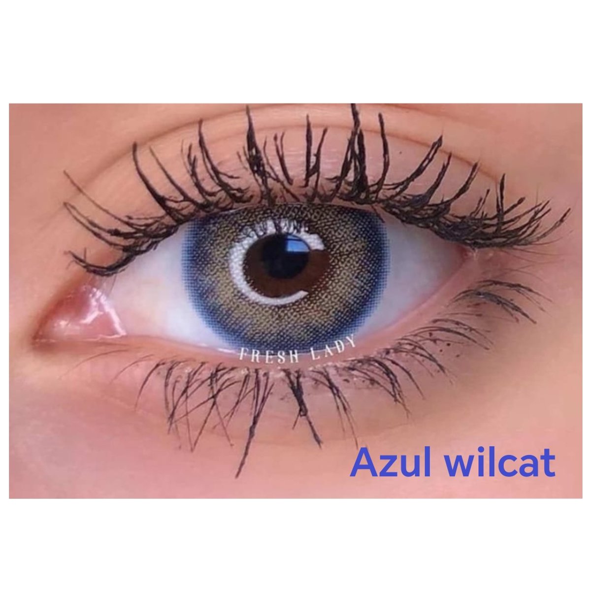 Freshlady L.C de color  - 4