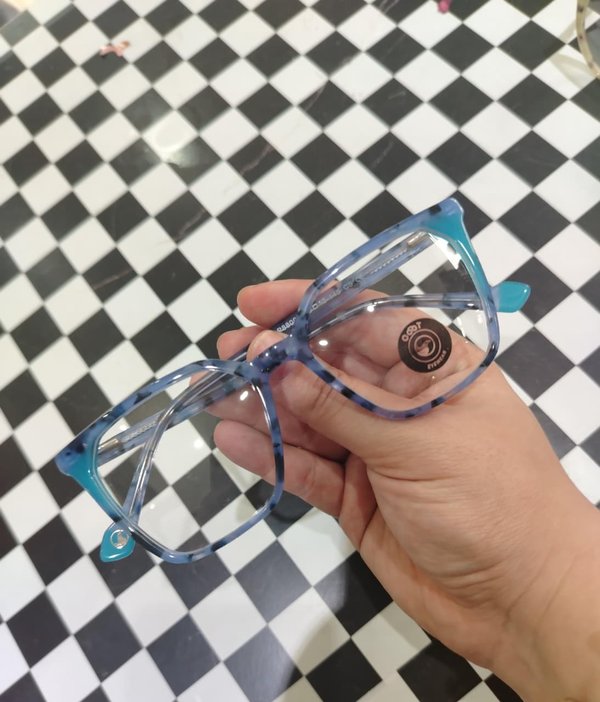 COOT P8800