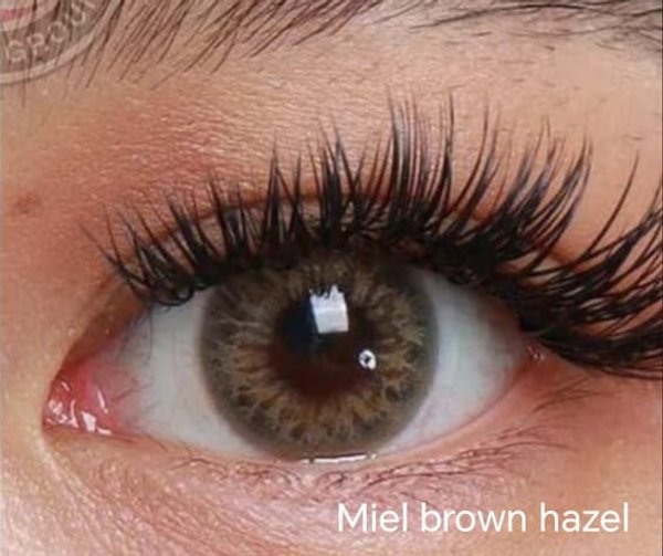 Freshlady lentes de contacto de color 