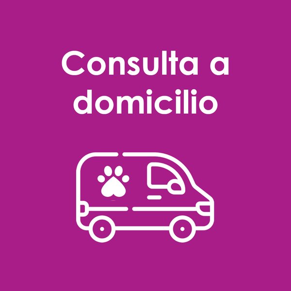 Consultas a domicilio