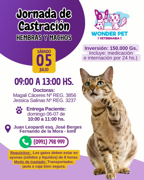 Jornadas de Castración Felinos
