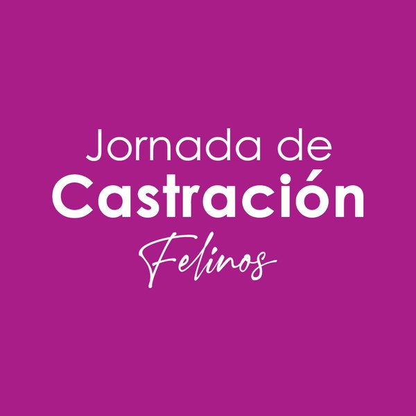 Jornadas de Castración Felinos