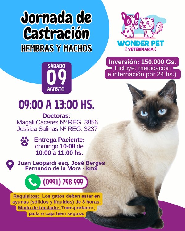 Jornadas de Castración Felinos