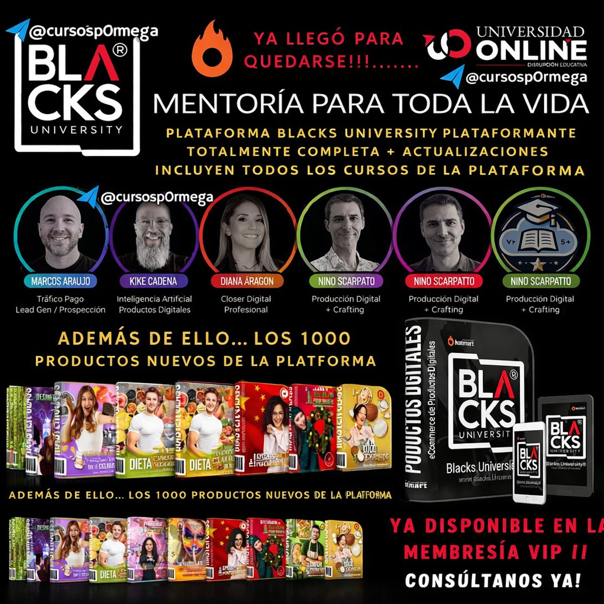 PLATAFORMA PREMIUM DE ALTO NIVEL