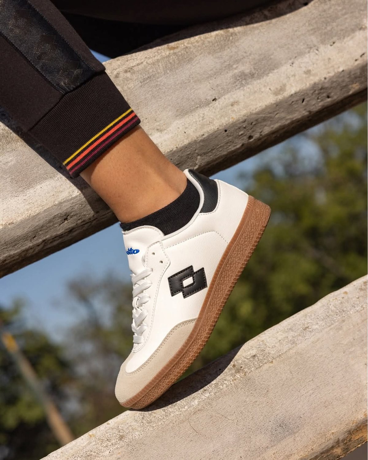 Lotto 1973 AMF 6 - 3