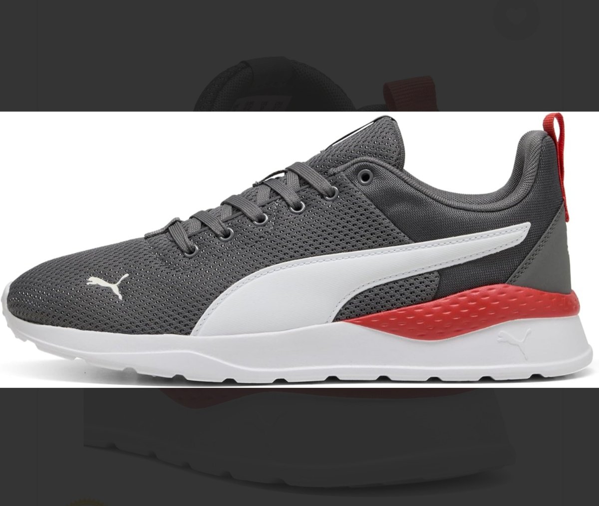 Puma anzarun - 2