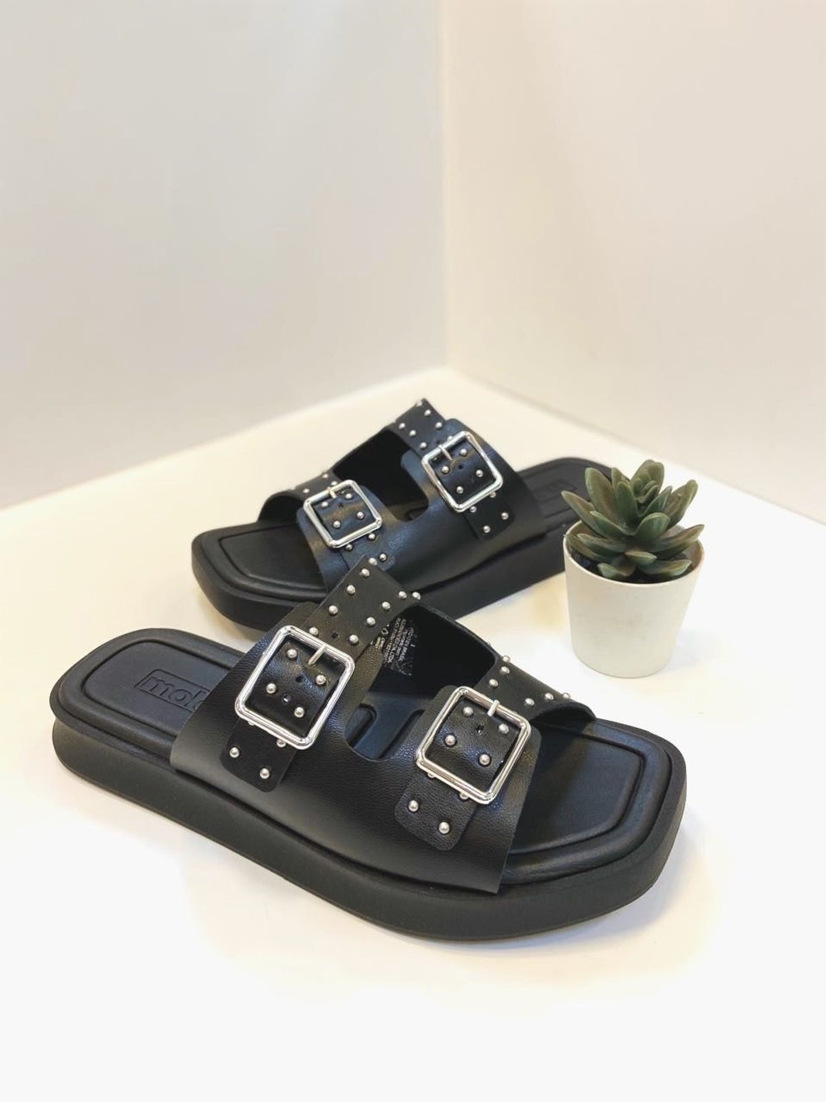 Moleca suequito hebilla - 3