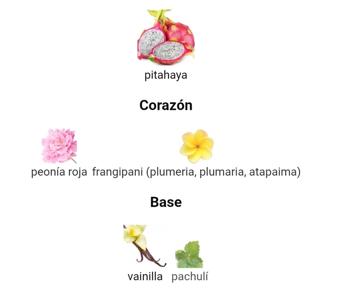 La Bomba - Carolina Herrera - 3