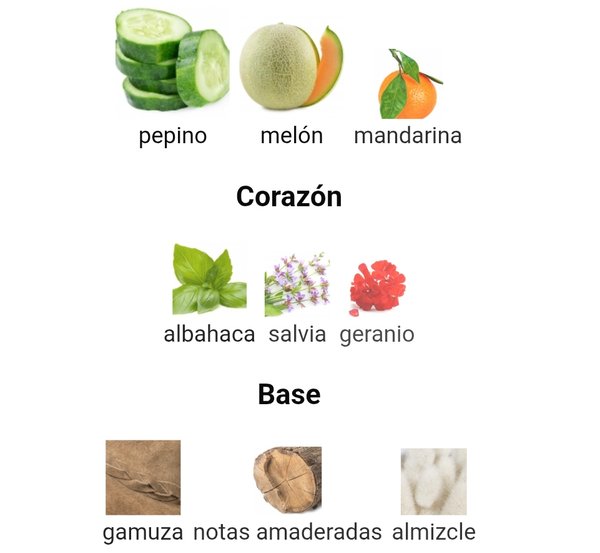 Polo Blue - Ralph Lauren