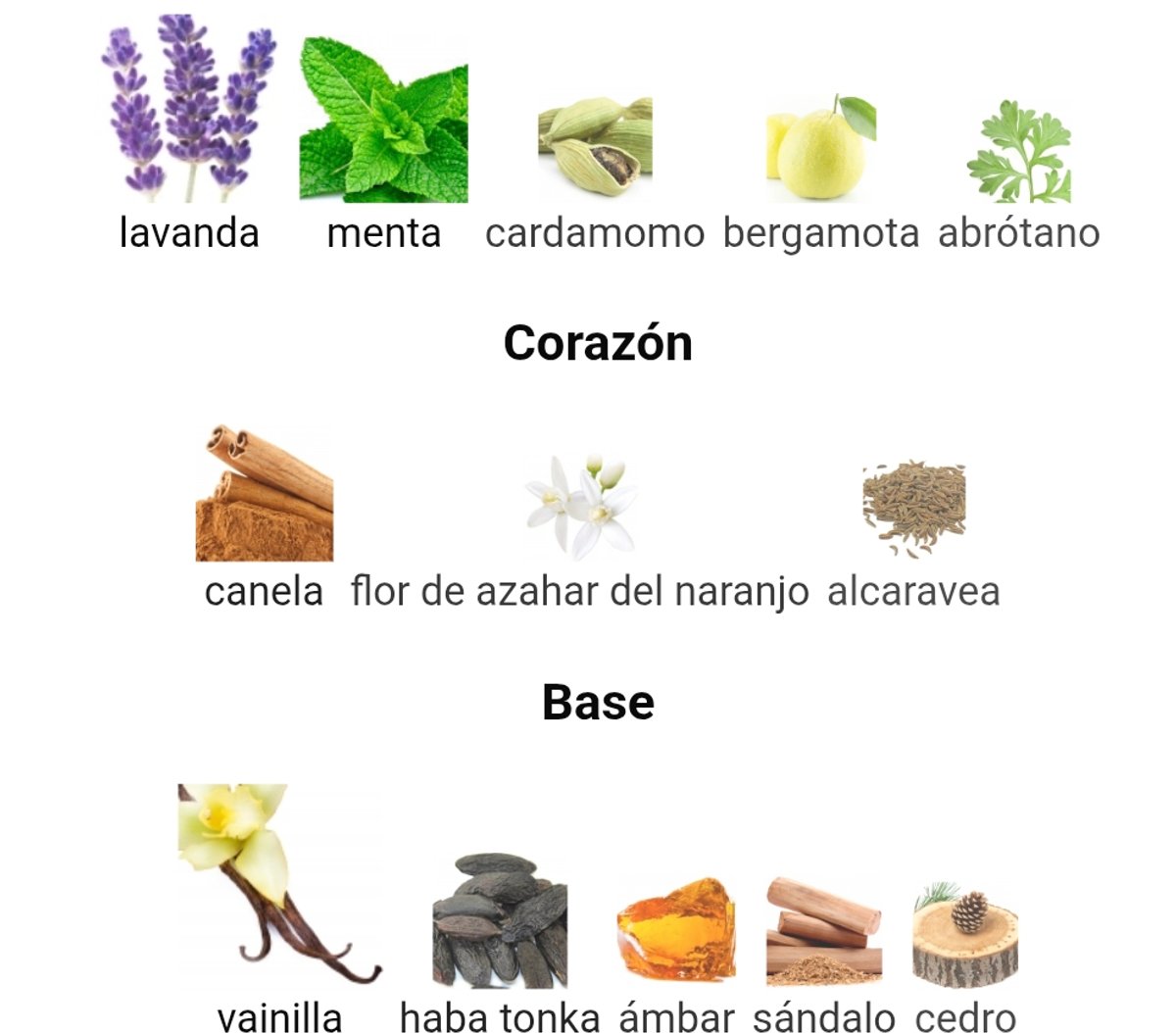 Le Male - Jean Paul Gaultier - 3