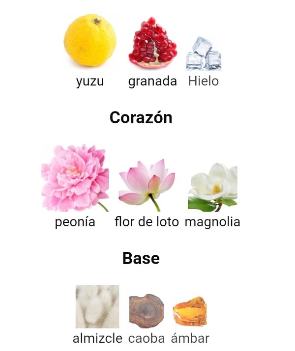 Bright Crystal EDT - Versace