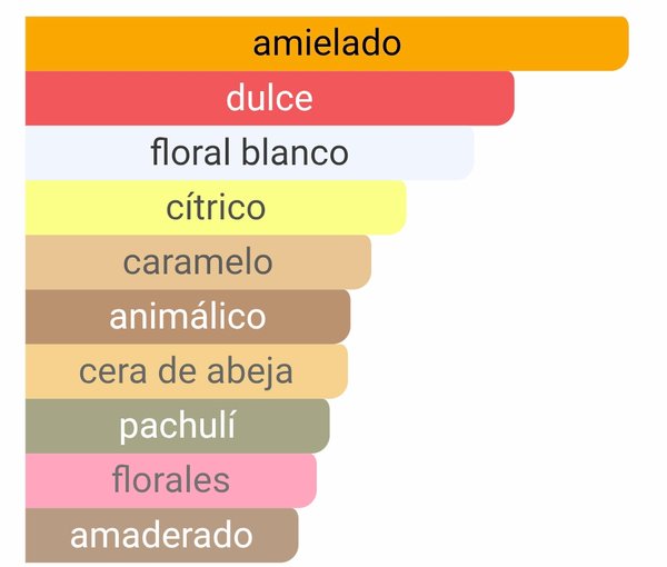 Scandal - Jean Paul Gaultier