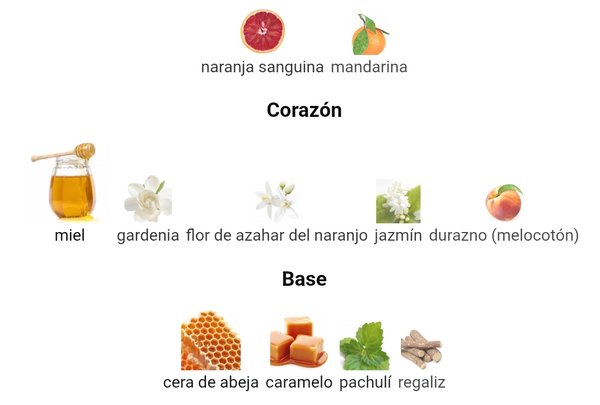 Scandal - Jean Paul Gaultier