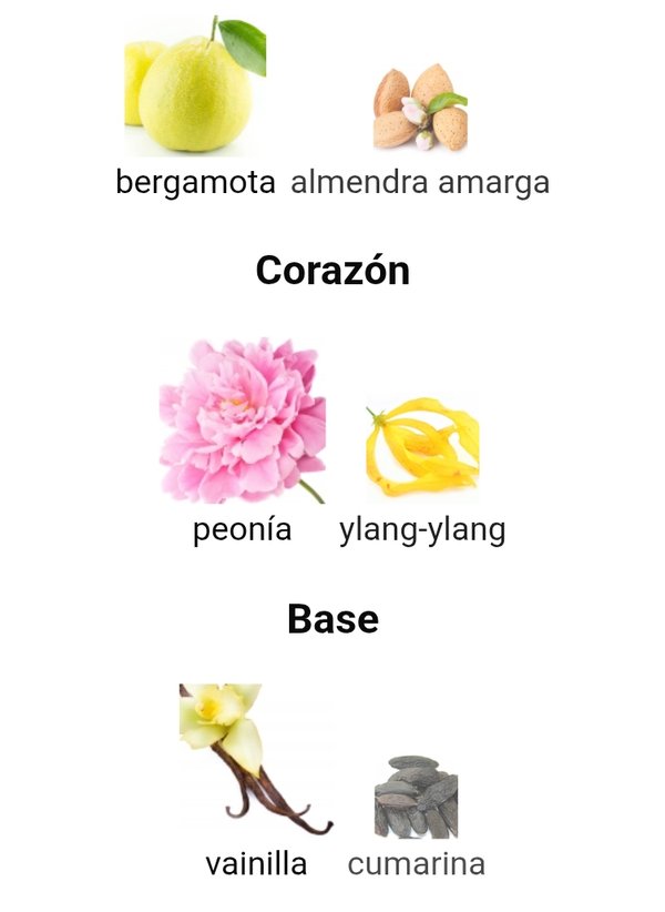 Good Girl Blush EDP - Carolina Herrera