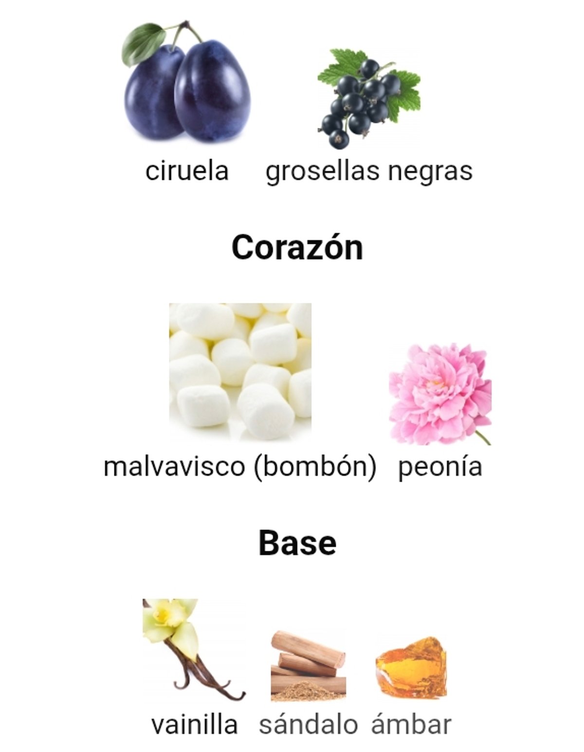 Moonlight EDP - Ariana Grande - 4