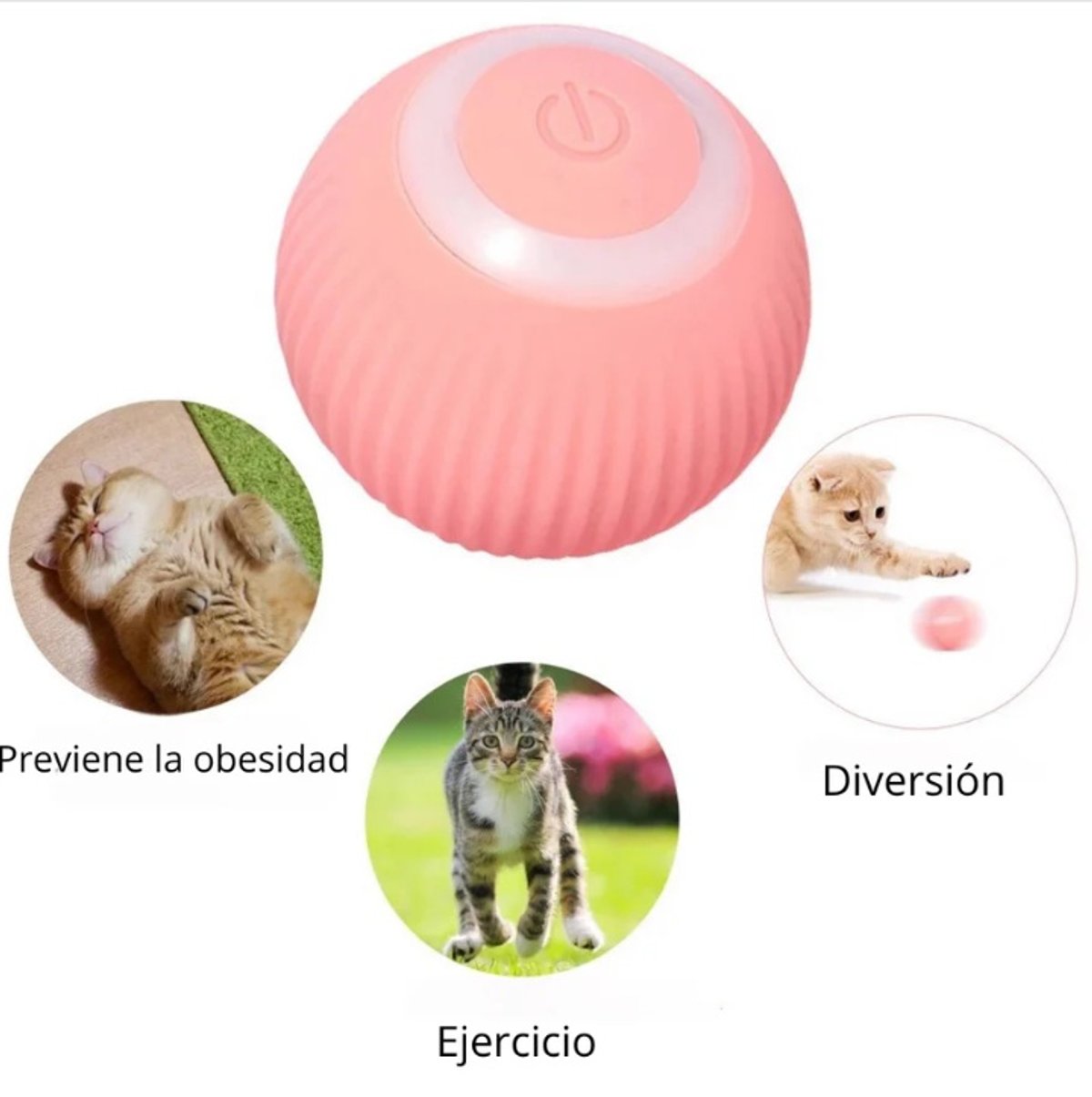 Pelota Inteligente Para Mascotas - 2