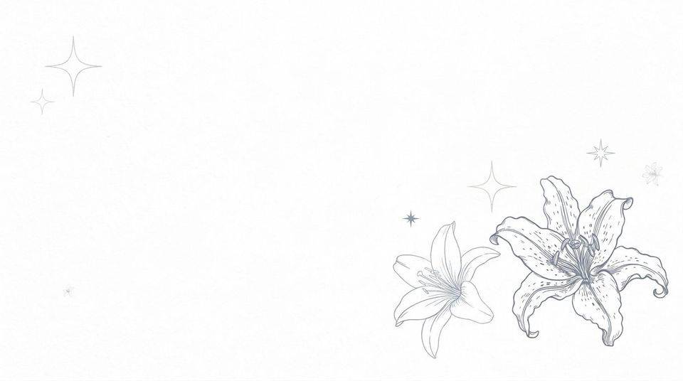 Shop banner 2