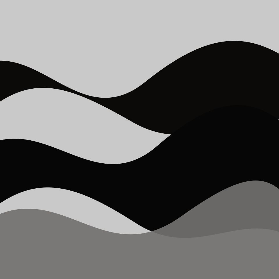Shop banner 2
